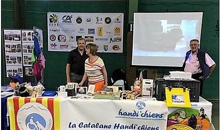 Forum des associations à Saint Cyprien